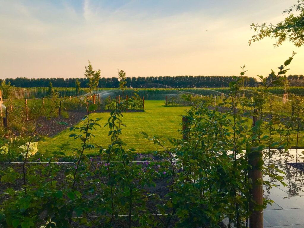 Tuin door Mijdam hoveniers